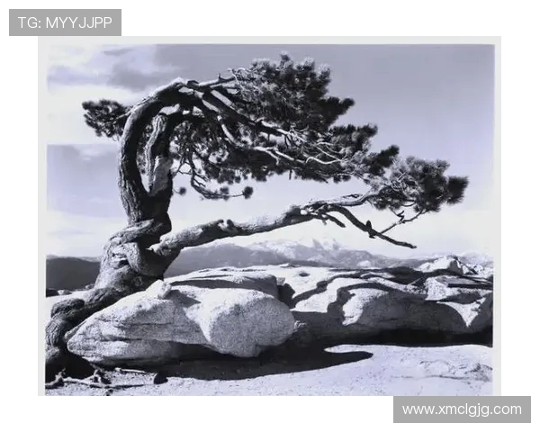 亚当斯的传奇人生与影响力探秘：从科学家到文化象征的跨越之旅