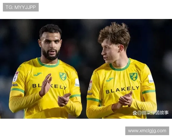 诺维奇主场迎战西布朗期待精彩对决双方争夺英冠积分榜重要位置